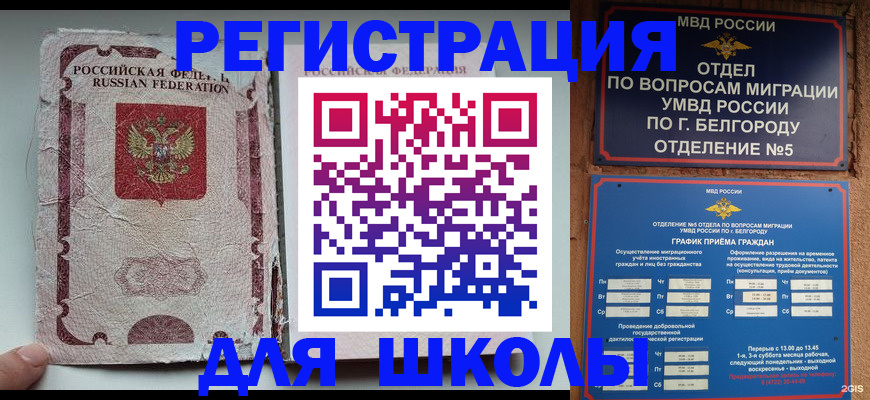 прописка гарантия в Вольске